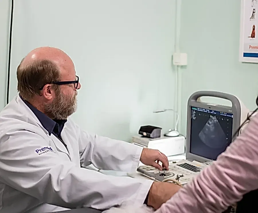 Veterinário conduz um exame de ultrassom olhando para a tela do aparelho, com o tutor do animal acompanhando ao lado.