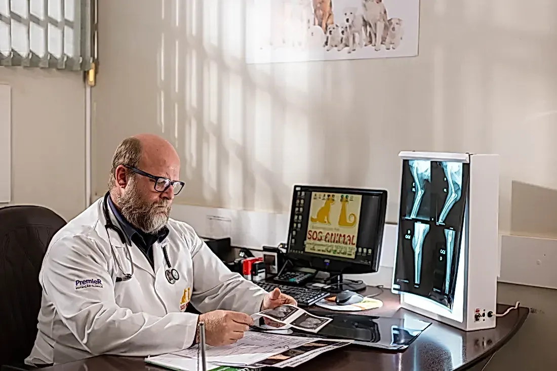 Veterinário de jaleco e estetoscópio à mesa do consultório, examinando radiografias no negatoscópio ao lado do computador.